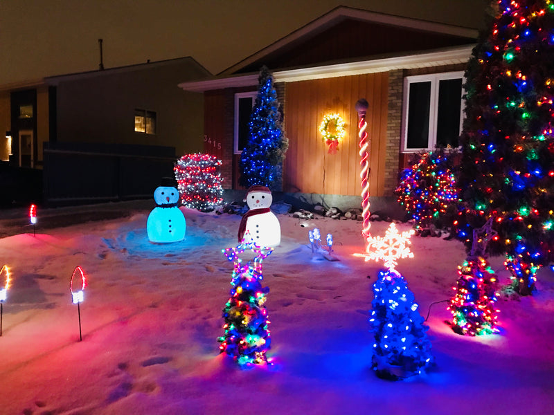 Magic Tree Ice magicice | Magic Ice | World's First Inflatable Ice Sculpture Mold